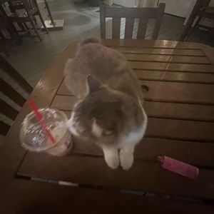 Meet your Posher, Kelsey